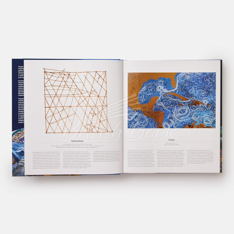 Книга Ocean: Exploring the Marine World изображение 4