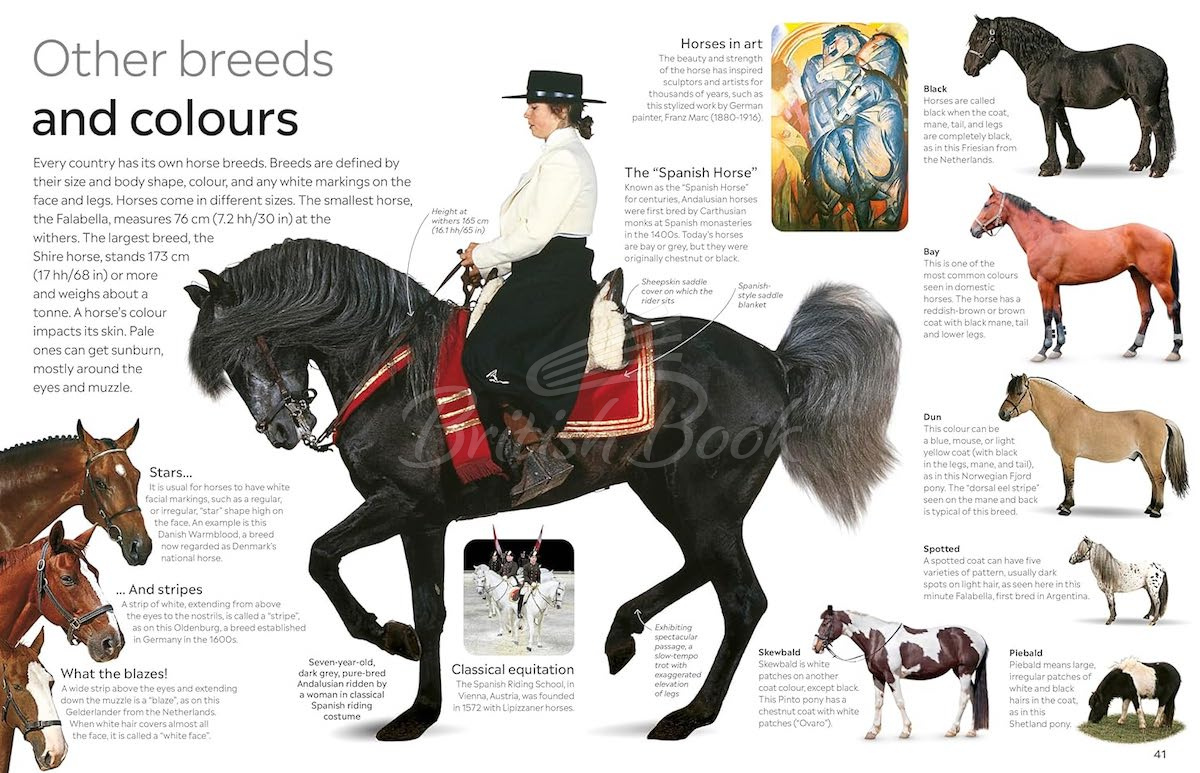 Книга Horse изображение 6