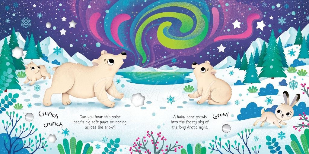 Книга Arctic Animals Sound Book зображення 2