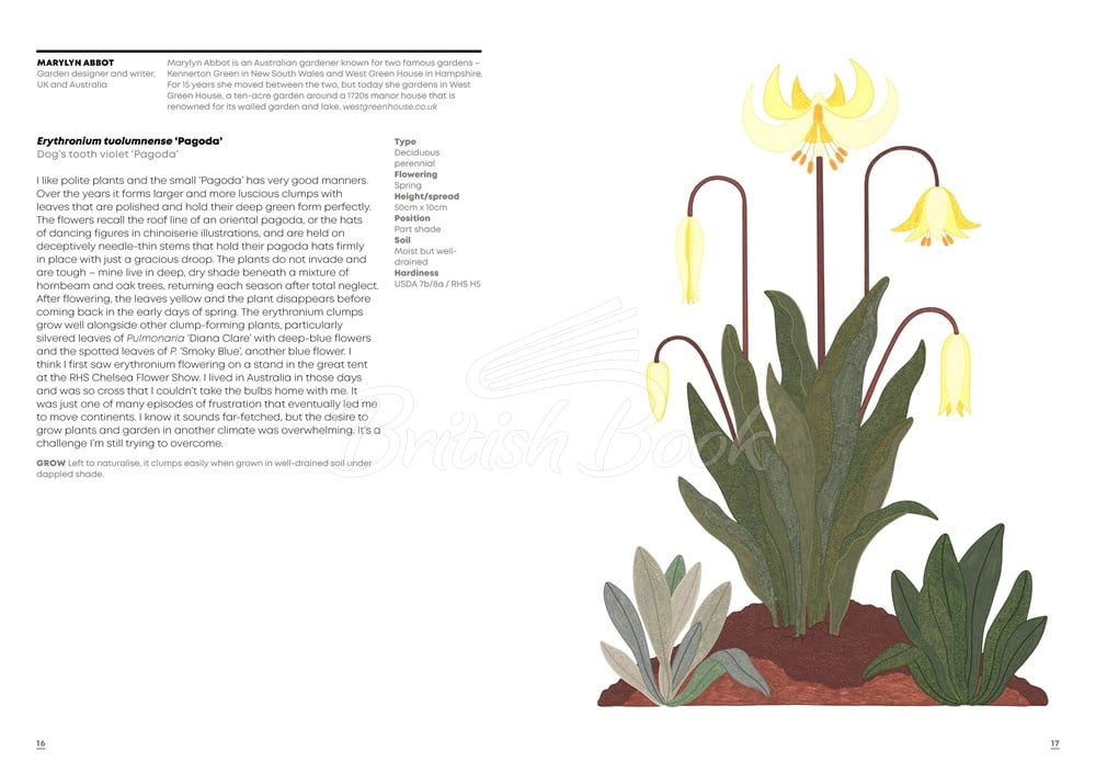 Книга What Gardeners Grow зображення 1