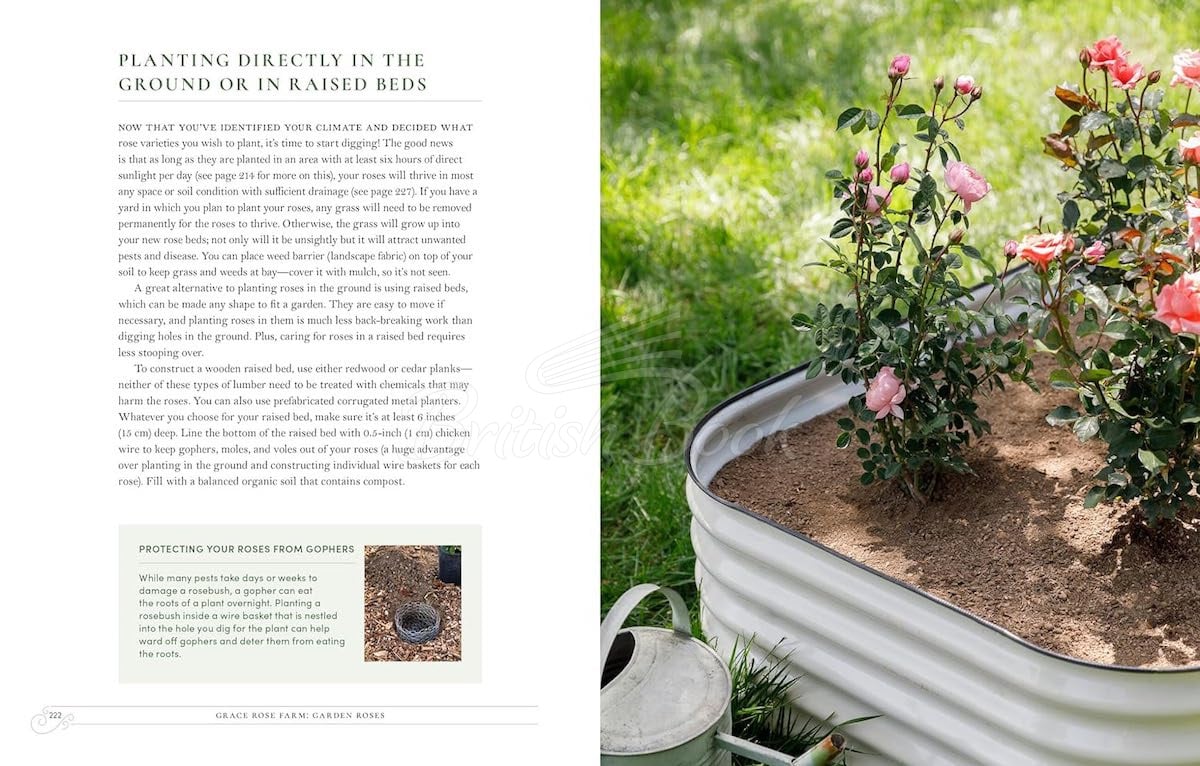 Книга Garden Roses зображення 7