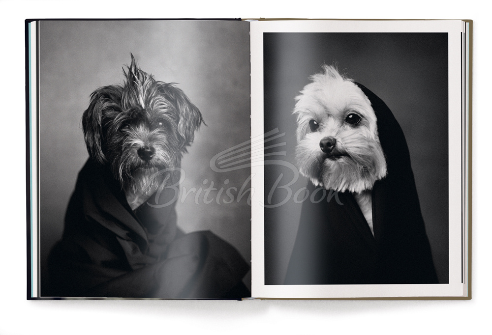 Книга The Dogs: Human Animals изображение 1