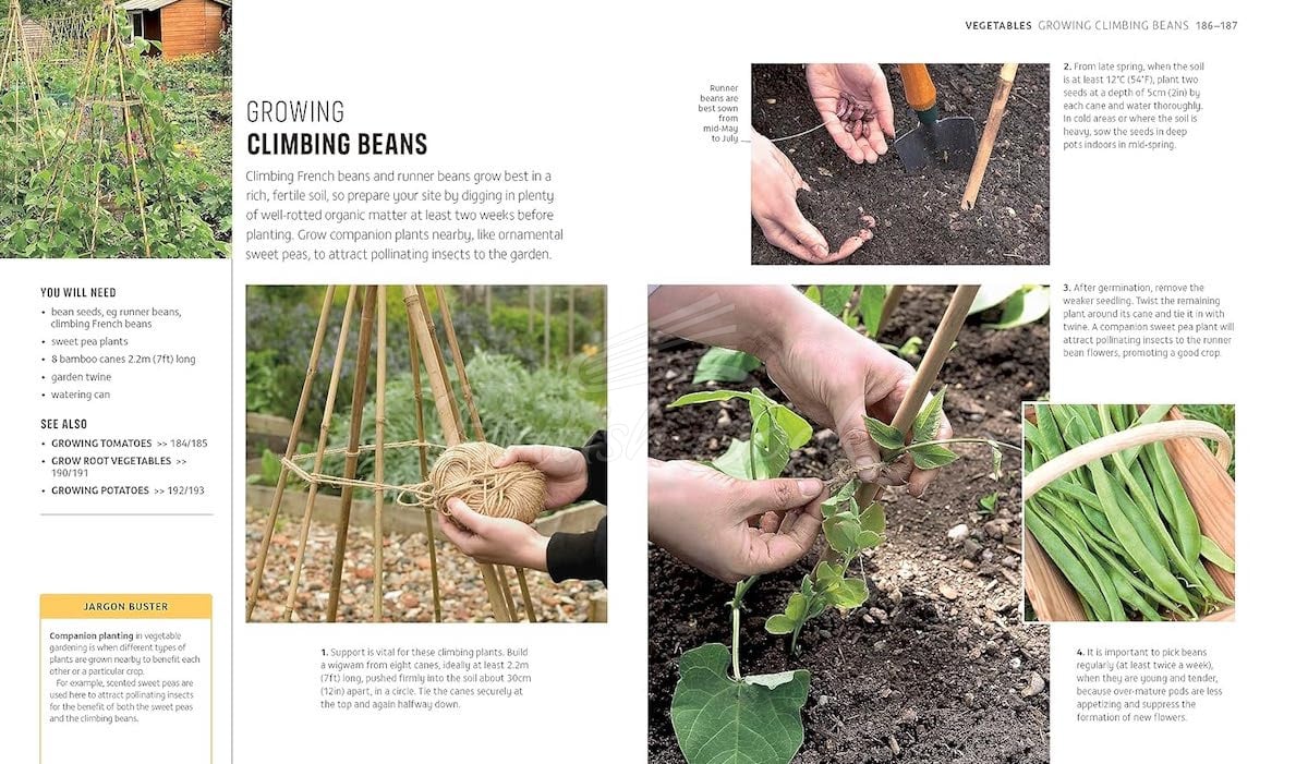 Книга RHS How to Garden When You're New to Gardening изображение 7