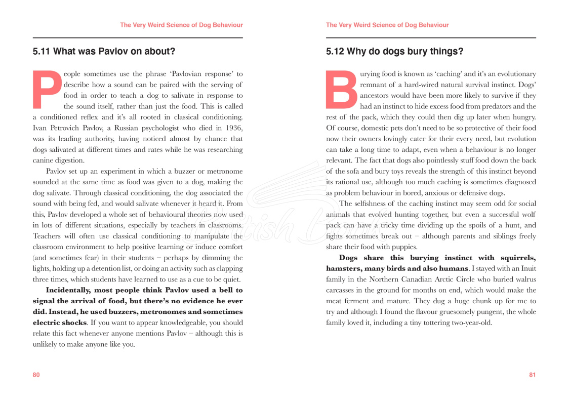 Книга Dogology: The Weird and Wonderful Science of Dogs зображення 11