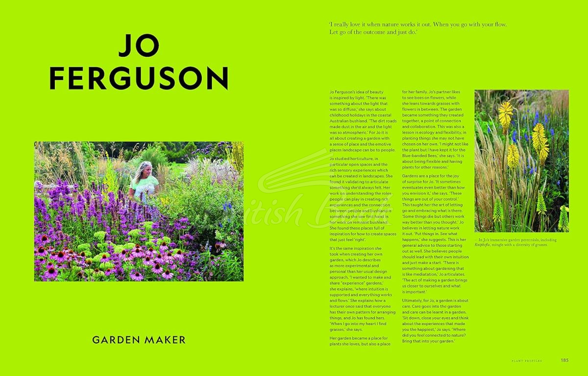 Книга Super Bloom: A Field Guide to Flowers for Every Gardener зображення 5