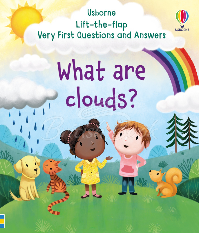 Книга Lift-the-Flap Very First Questions and Answers: What are Clouds? зображення