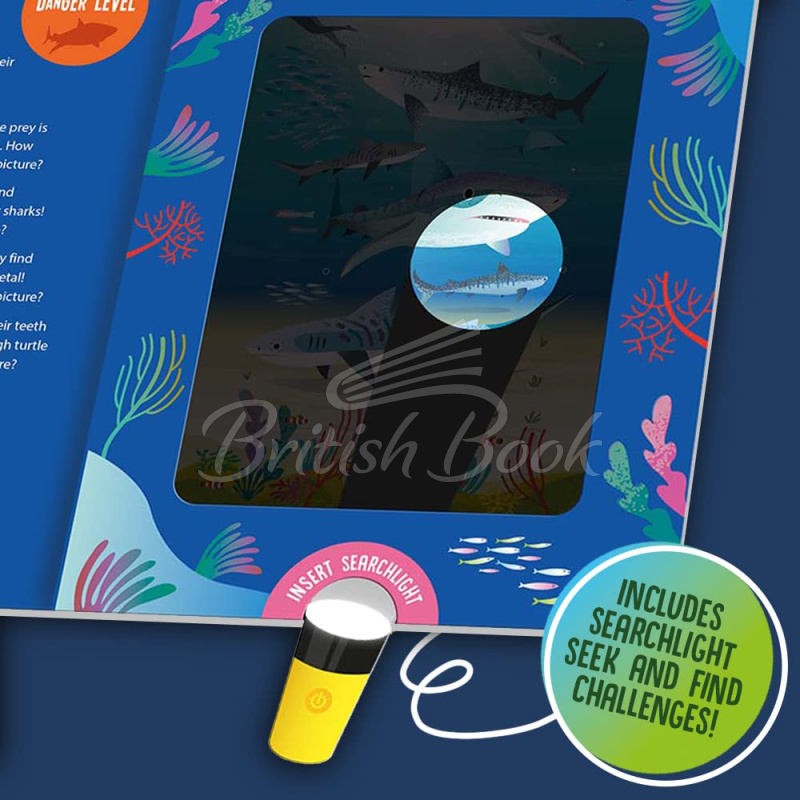Книга Seek and Find Searchlight: Sharks зображення 4