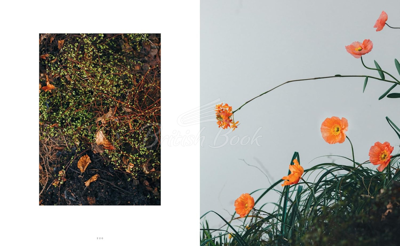 Книга Pretty Dirty: The Life of Flowers, From Creation to Compost зображення 9
