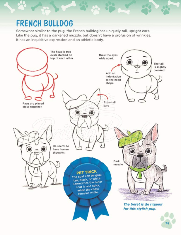 Книга How to Draw Dogs and Cats from Simple Templates зображення 4