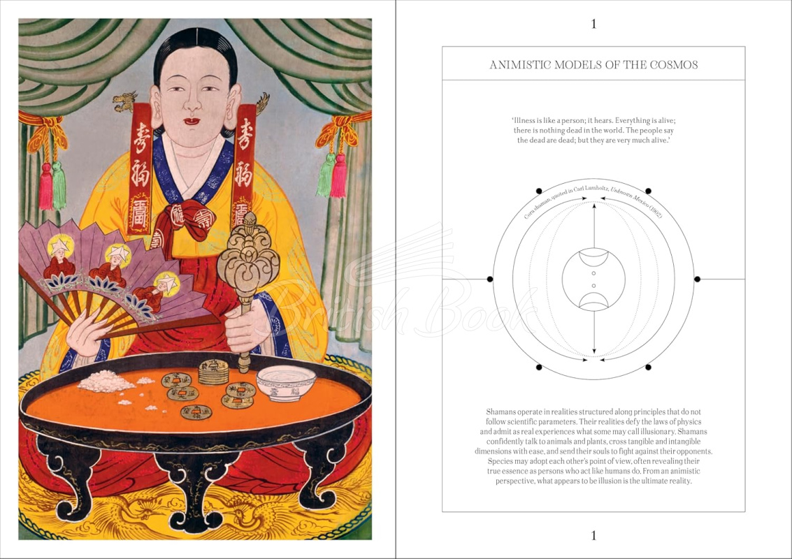 Книга Shamans: The Visual Culture of Animism, Healing and Journeys to Other Planes изображение 4