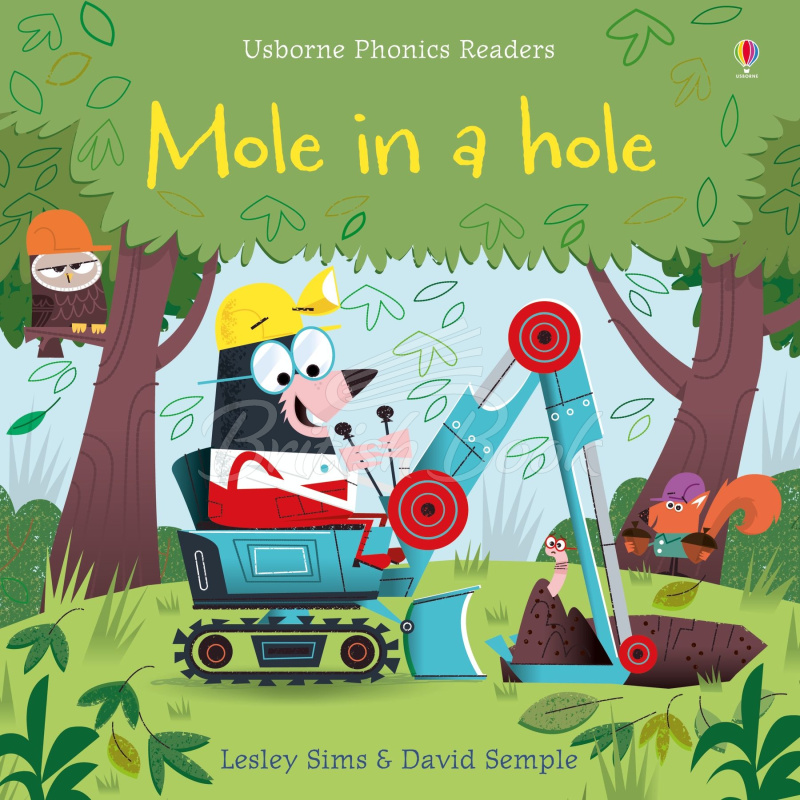 Книга Mole in a Hole изображение