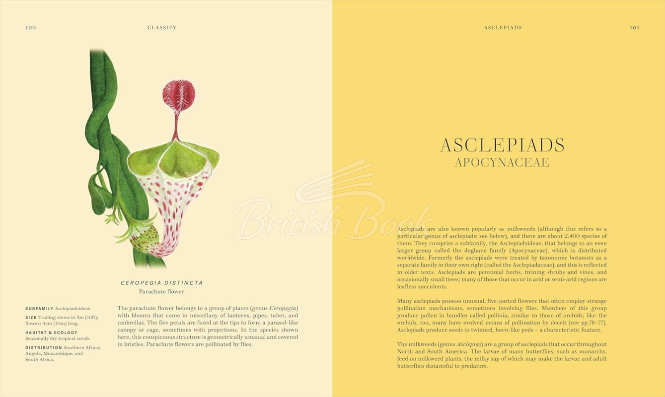 Книга Wildflowers: Discover the Science and Secrets Behind the World of Wildflowers зображення 6
