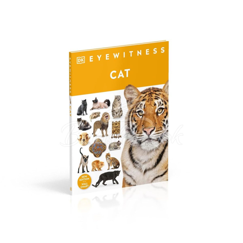 Книга Cat зображення 1