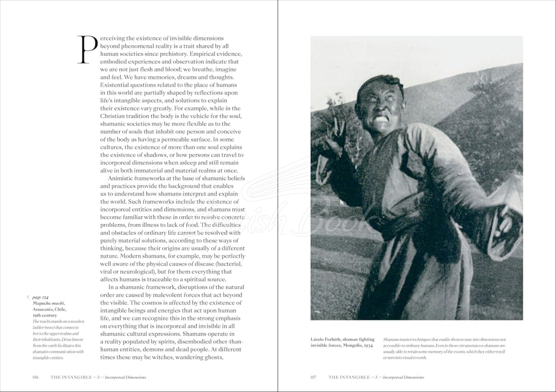 Книга Shamans: The Visual Culture of Animism, Healing and Journeys to Other Planes изображение 9