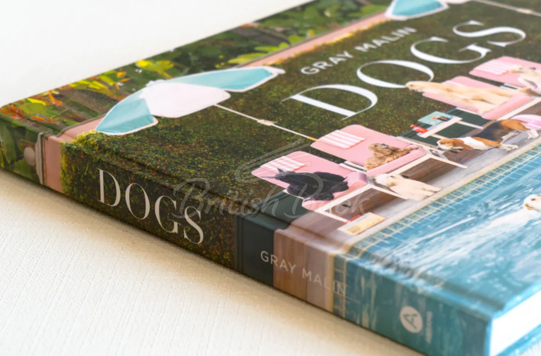 Книга Gray Malin: Dogs изображение 2