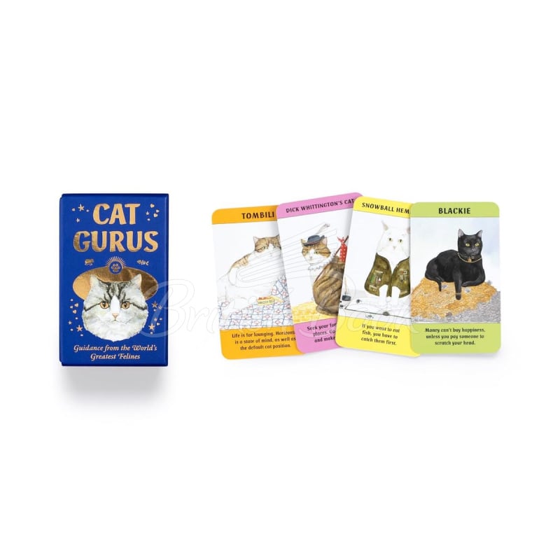 Карточки Cat Gurus изображение 5