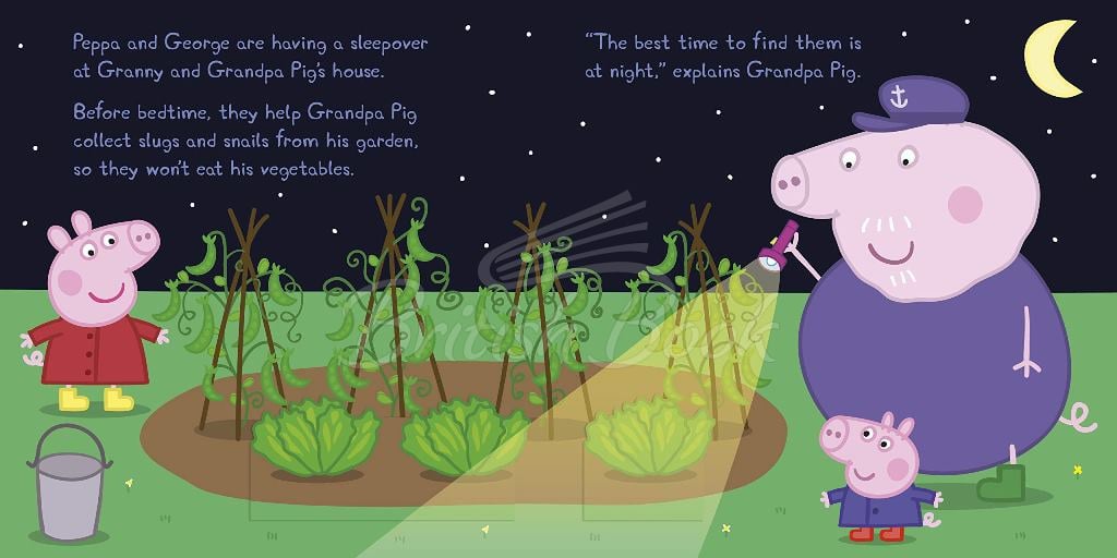 Книга Peppa Pig: Night Creatures (A Lift-the-Flap Book) изображение 1