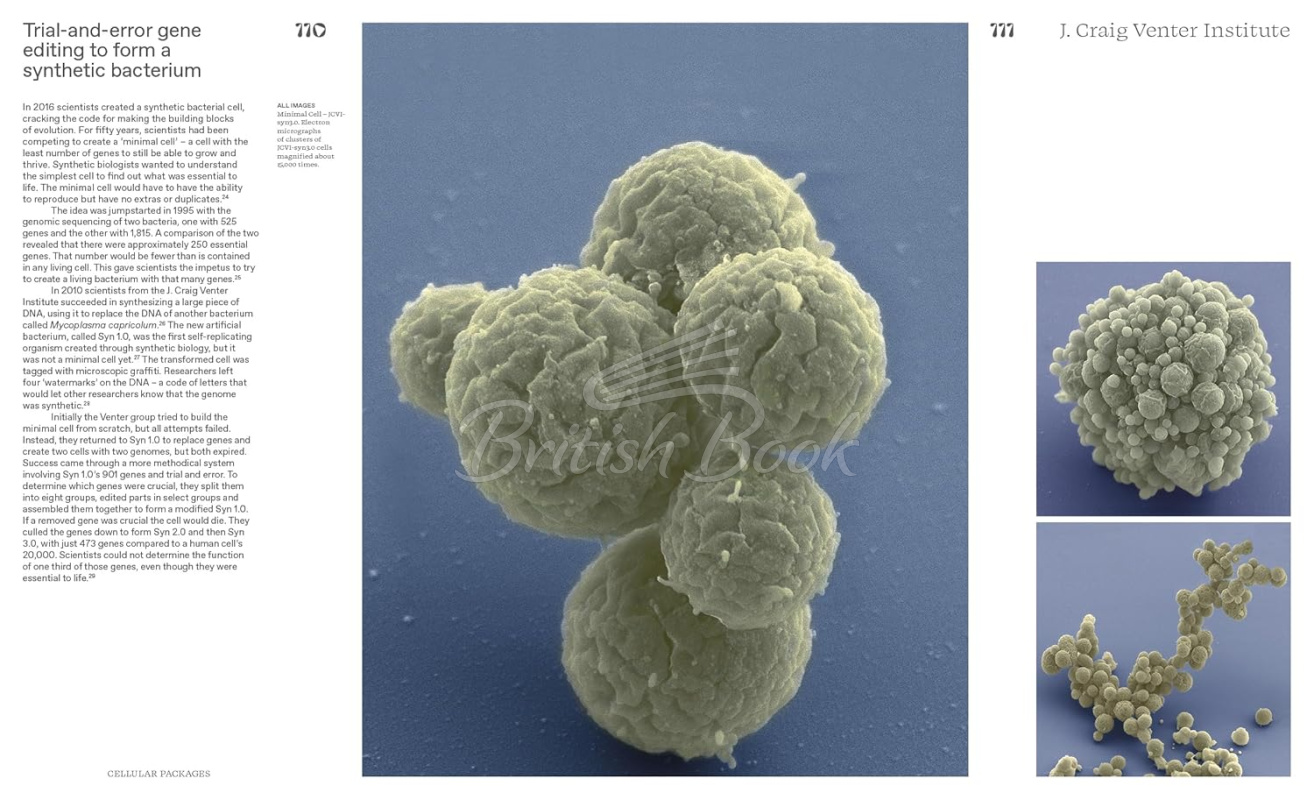 Книга Alive: Synthetic Cells, Feral Robots, Rebellious AI, and the Design of Radical Life изображение 5