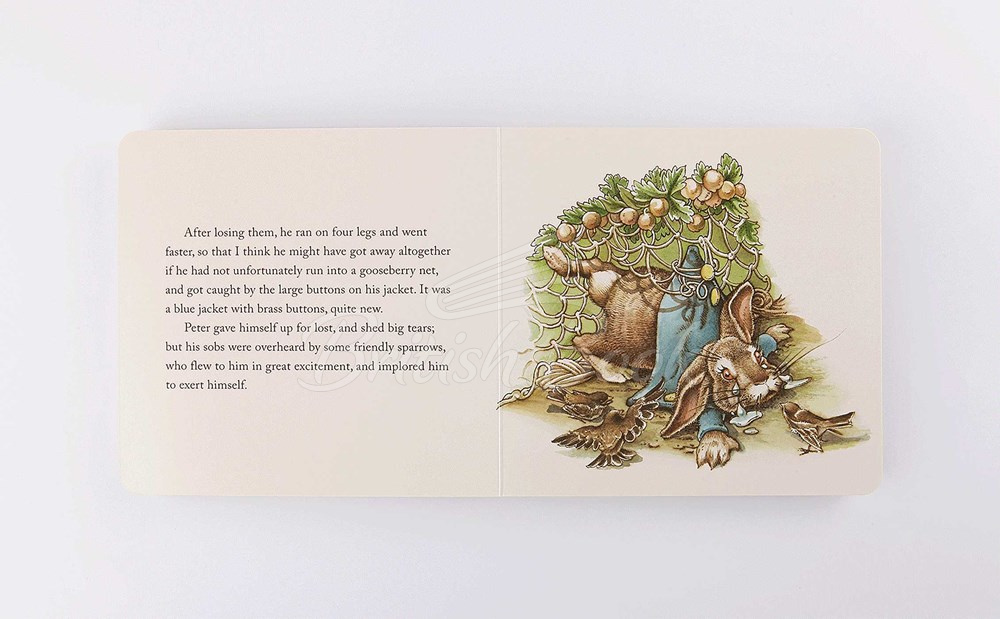 Набір книжок The Deluxe Peter Rabbit Gift Set зображення 9