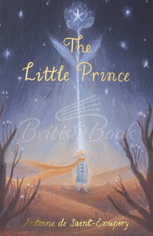 Книга The Little Prince зображення