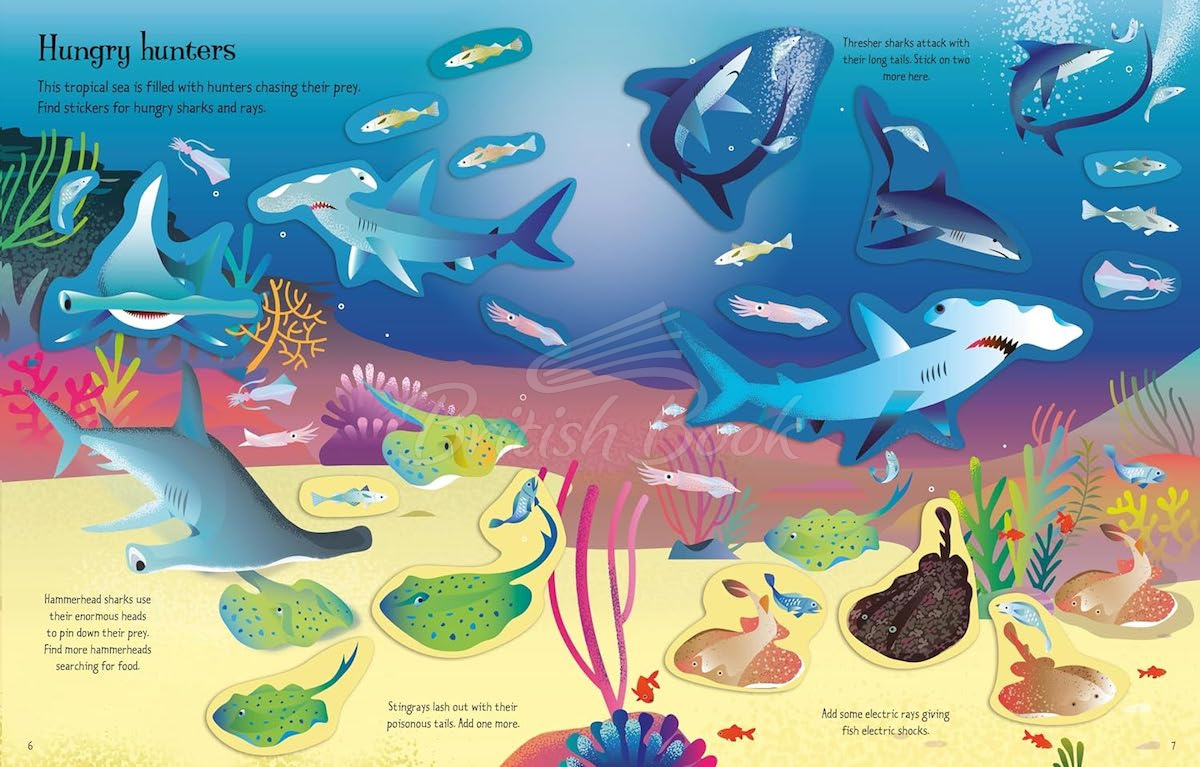 Книга First Sticker Book: Sharks and Rays изображение 2