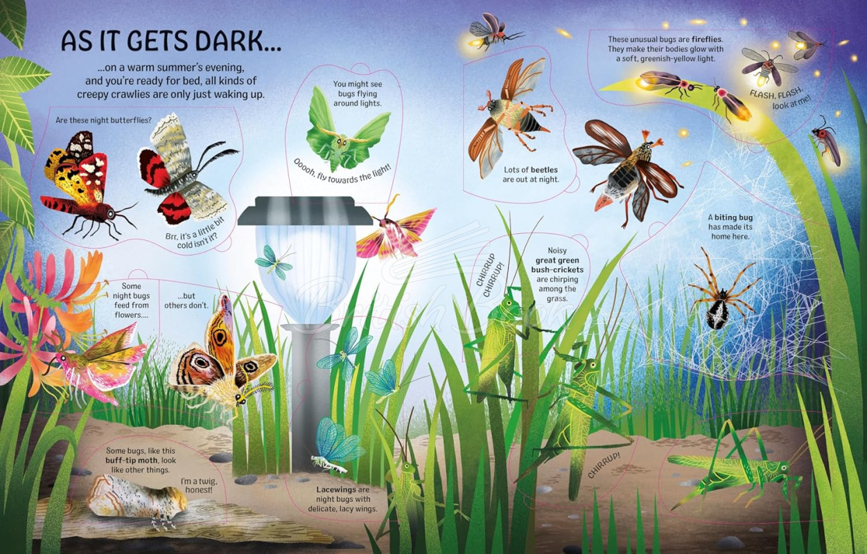 Книга See inside Bugs and Butterflies изображение 4