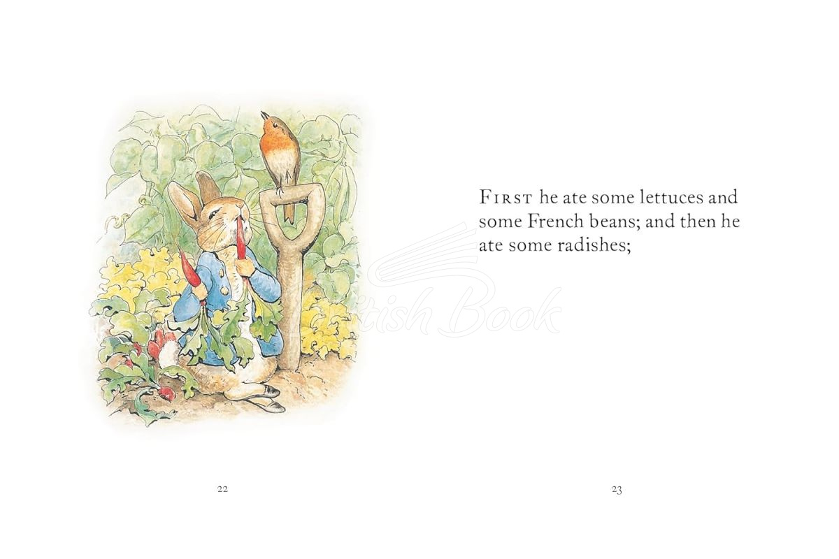 Книга My First Peter Rabbit Collection зображення 2