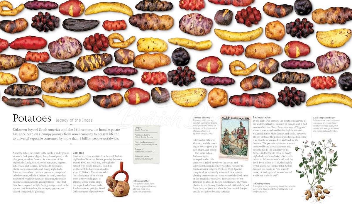 Книга The Food Book зображення 3