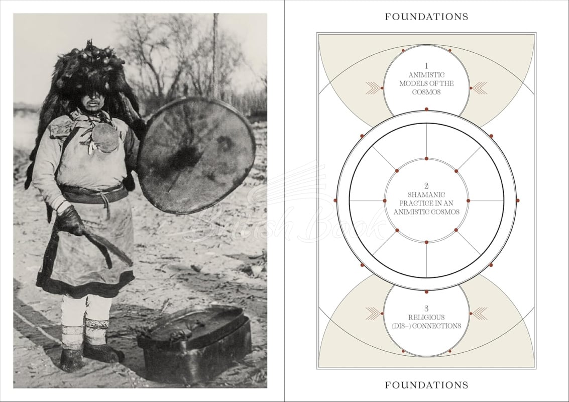 Книга Shamans: The Visual Culture of Animism, Healing and Journeys to Other Planes изображение 3