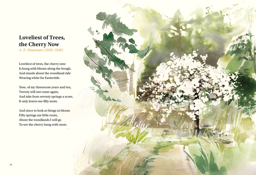 Книга The Book of Tree Poems изображение 1
