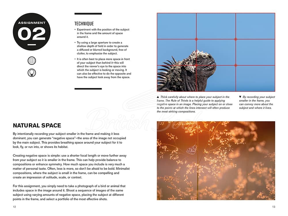 Книга 52 Assignments: Nature Photography зображення 2