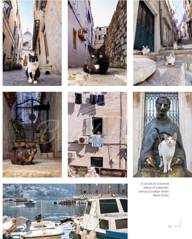 Книга Cats of the World изображение 4