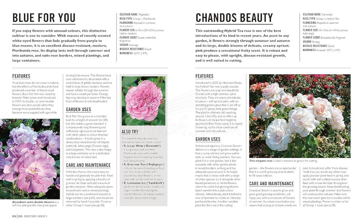 Книга Roses зображення 6