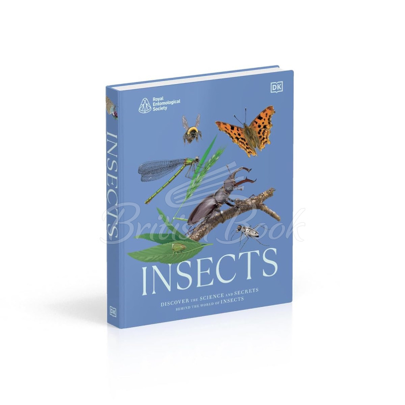 Книга Insects зображення 1