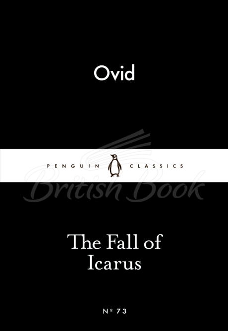 Книга The Fall of Icarus изображение
