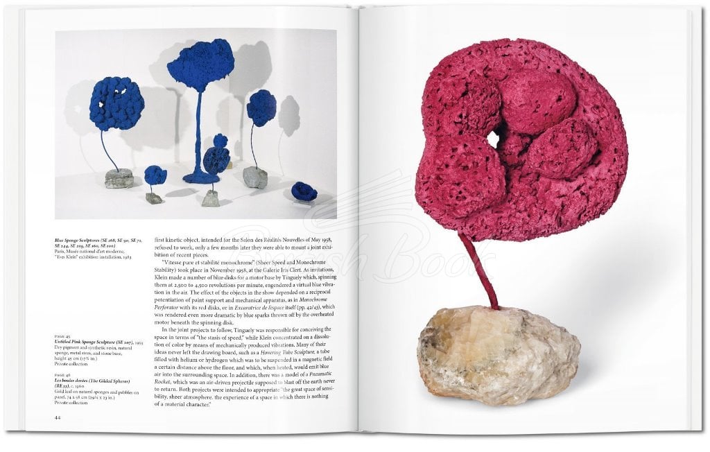 Книга Yves Klein зображення 3