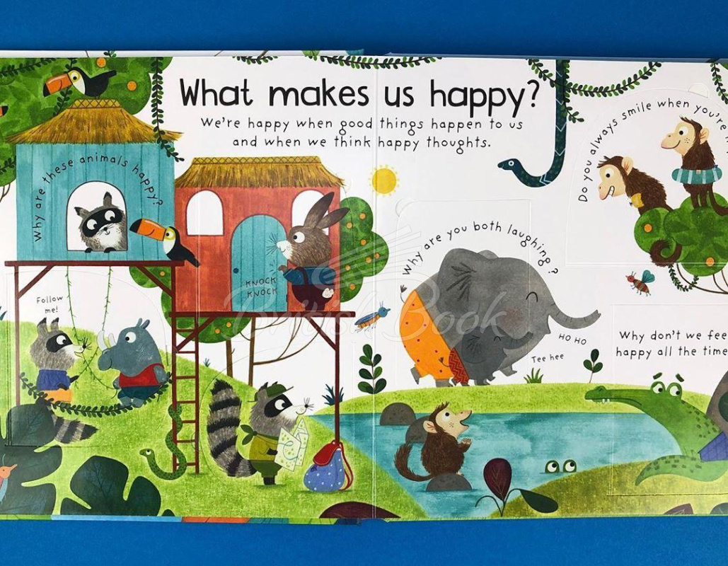 Книга Lift-the-Flap First Questions and Answers: What Are Feelings? зображення 4