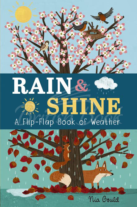 Книга Rain and Shine: A Flip-Flap Book of Weather зображення