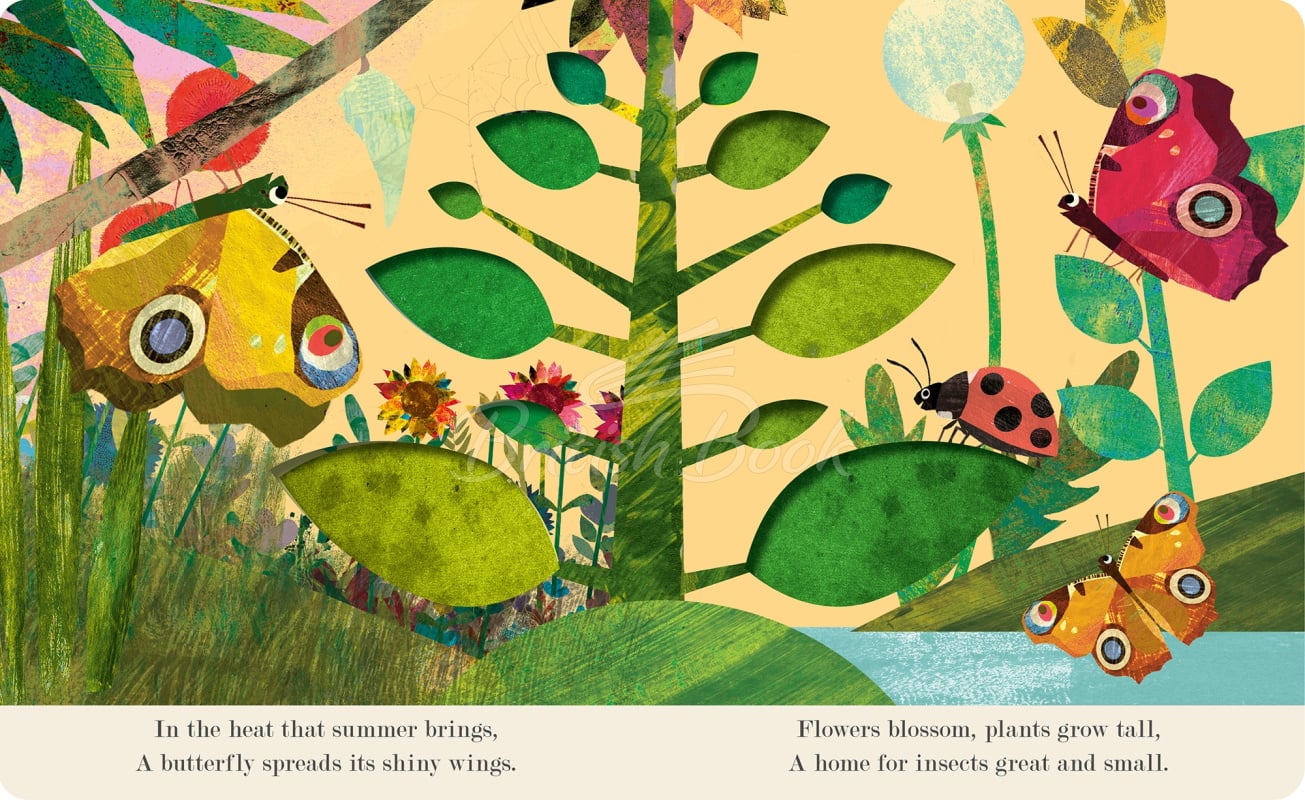 Книга A Peek-Through Introduction to Nature: Bugs зображення 1