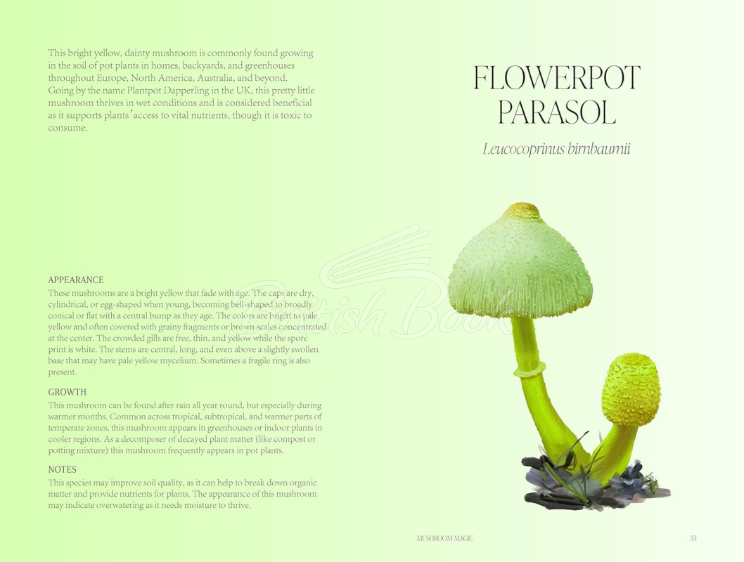 Книга Mushroom Magic зображення 8