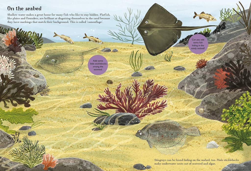 Книга National Trust: A Nature Sticker Book: Sharks, Seahorses and Other British Sea Creatures зображення 2