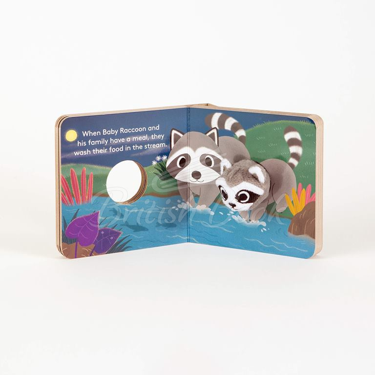 Книга Baby Raccoon Finger Puppet Book зображення 2
