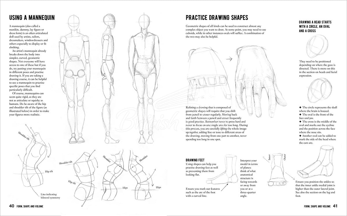 Книга Anatomy for the Artist: A Complete Guide to Drawing the Human Body изображение 3