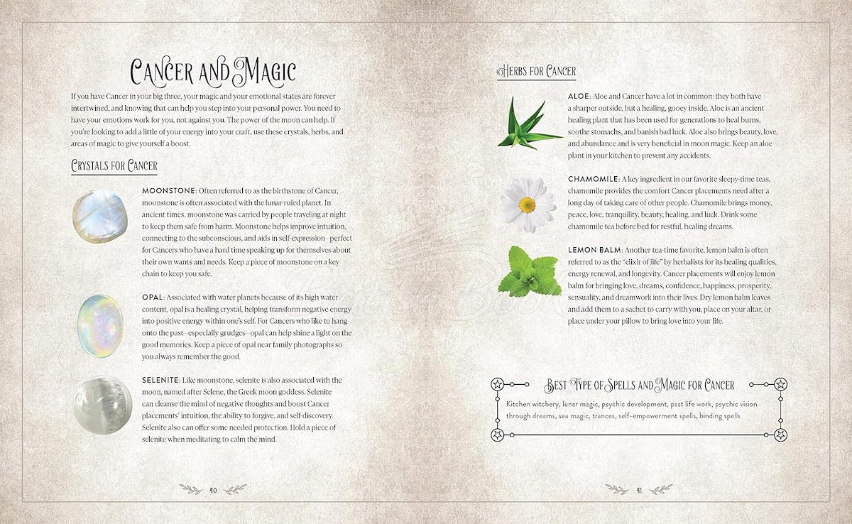 Книга The Witch's Complete Guide to Astrology зображення 4