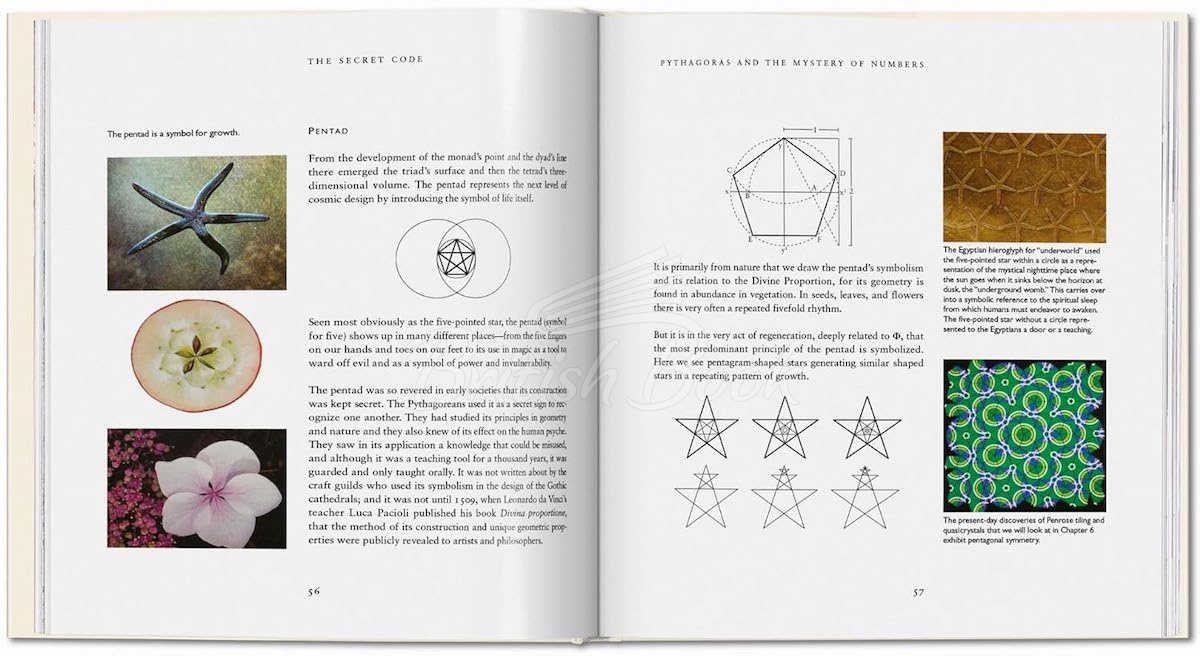 Книга The Secret Code зображення 4
