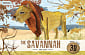 The Savannah: The Lion 3D