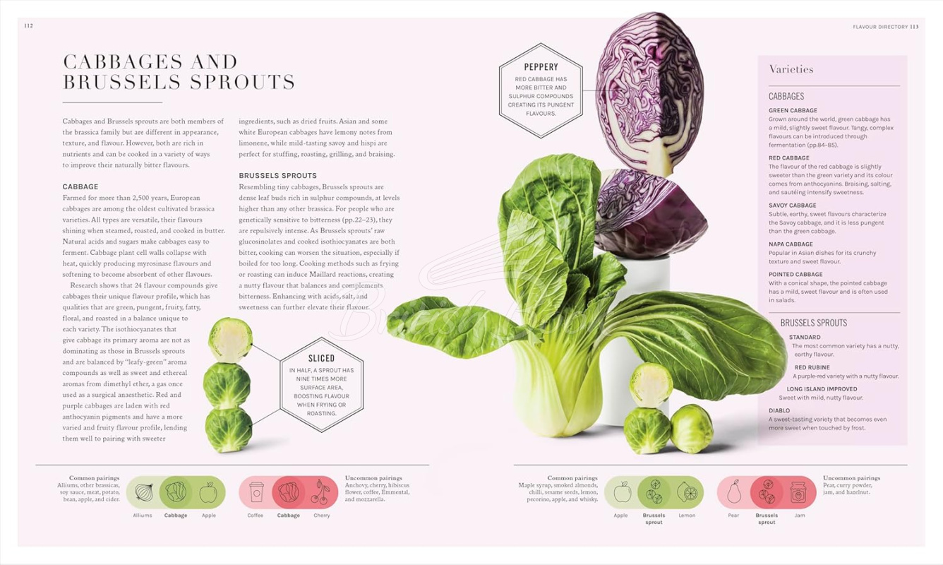 Книга The Science of Flavour зображення 4