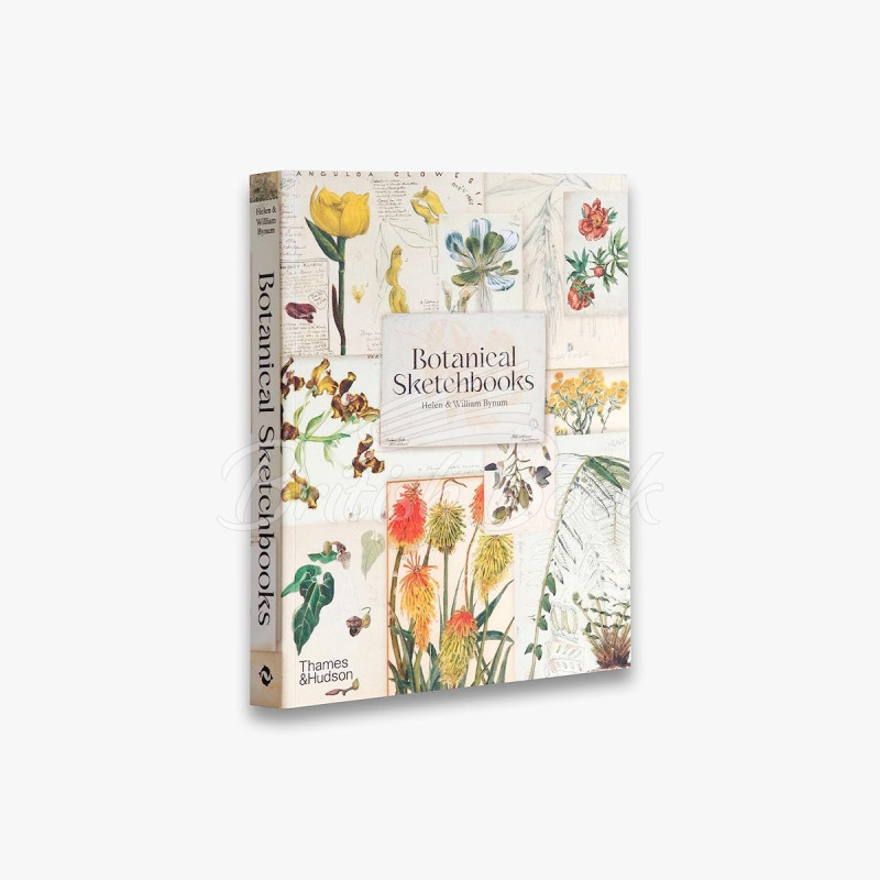 Книга Botanical Sketchbooks изображение 13