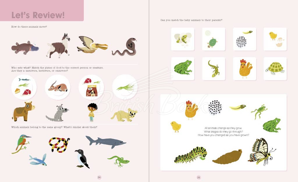 Книга Do You Know? Animals of Land, Sea, and Air изображение 4