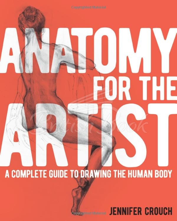 Книга Anatomy for the Artist: A Complete Guide to Drawing the Human Body изображение